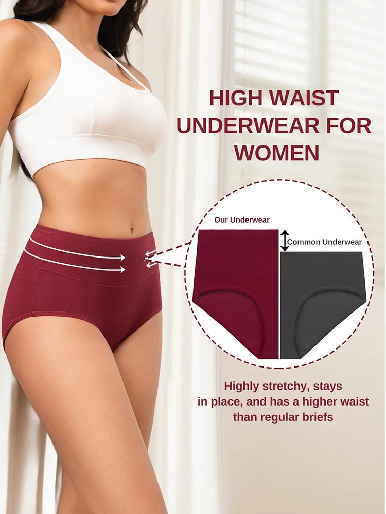 Culottes en coton taille haute couvrantes pour femme – lot de 5