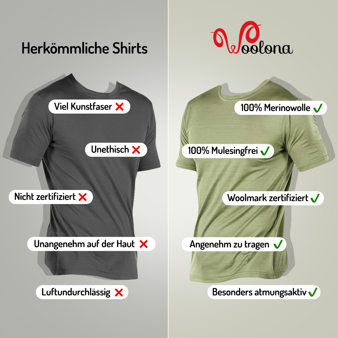 T-shirt en laine mérinos - Maison Flavigny